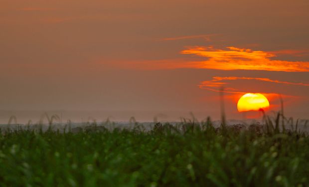Grande produtora de fertilizantes nitrogenados da Rússia pode interromper exportações para o Brasil