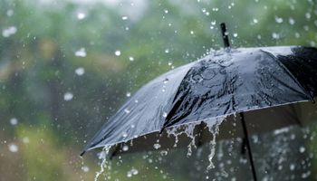 Previsão do tempo hoje: feriado tem chuva forte no Sul e no litoral do Nordeste; calor e pandas de chuva marcam o país