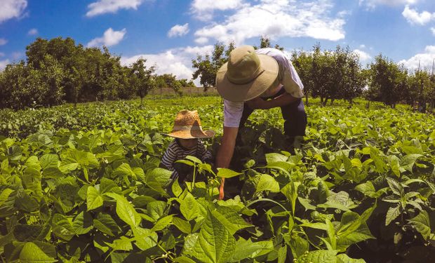 Governo vai pagar R$ 1,2 mil a agricultores com prejuízo na safra  