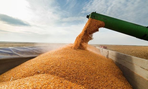 Aumento de la tarifa de cereales: 20.34%.