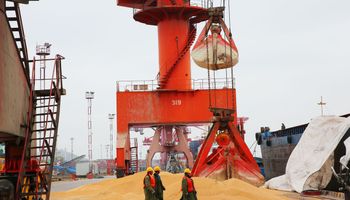 La soja volvió a subir por las señales de acercamiento entre Estados Unidos y China