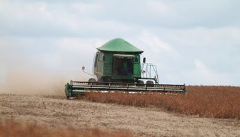 Sube el precio de la soja por la severa sequía que impacta en Argentina