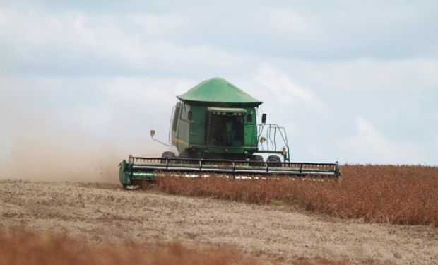 Sube el precio de la soja por la severa sequía que impacta en Argentina