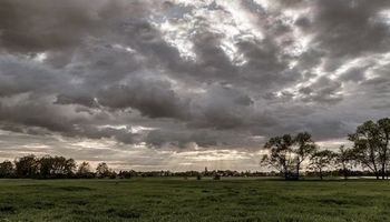 Qué dice el pronóstico del tiempo para la zona núcleo y cómo estan los niveles de humedad del suelo