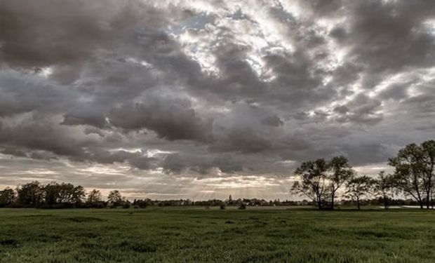 Qué dice el pronóstico del tiempo para la zona núcleo y cómo estan los niveles de humedad del suelo