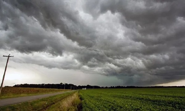 noticiaspuertosantacruz.com.ar - Imagen extraida de: https://news.agrofy.com.ar/noticia/210126/cero-lluvias-que-pasa-frio-como-estan-reservas-humedad-y-cuando-volverian-lluvias