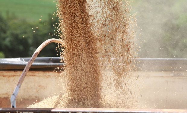 Los resultados del Farmer Crop Tour impulsaron el precio de la soja: cuánto se pagó en Rosario