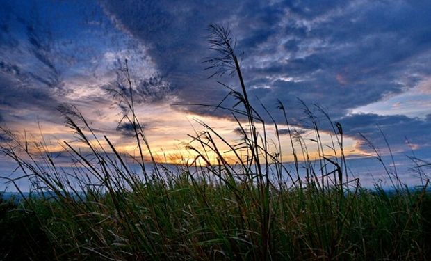 Cómo va aseguir el clima: el pronóstico del tiempo para los próximos dias