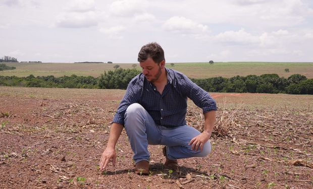 Cenário já indica um prejuízo para os produtores, comenta o vice-coordenador de Defesa Agrícola, Jorge Diego Giacomelli. (Foto - Aprosoja)