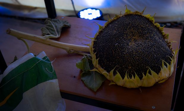 El campo, la academia y la agroindustria dieron testimonio, en Catriló, de un caso de colaboración que trasciende las tendencias y llegó para quedarse.