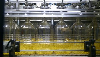 Creció un 138%: el boom de un cultivo que se volvió estrella en Argentina