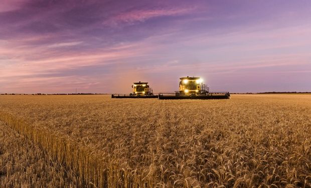 La parte agro de Glencore cambia de nombre a partir de hoy