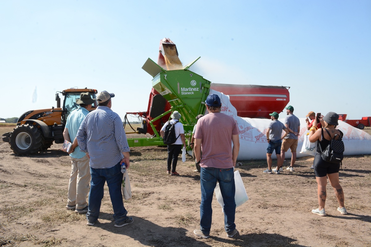 noticiaspuertosantacruz.com.ar - Imagen extraida de: https://news.agrofy.com.ar/noticia/212220/detalle-us-48370-millones-que-exporto-agro-2024-quienes-nos-compran-que-se-vende-y