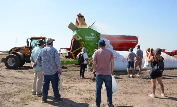 El detalle de los US$ 48.370 millones que exportó el agro en 2024: quiénes nos compran, qué se vende y los sectores que más crecen