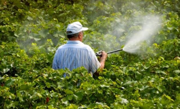 Los eurodiputados quieren eliminar el herbicida para 2022.