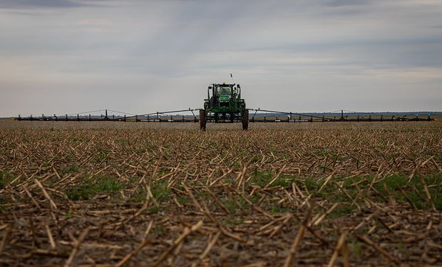 Soja, trigo y maíz: cuántos granos hacen falta para comprar herbicidas y fertilizantes
