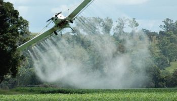 Prohíben en Rosario el uso del herbicida glifosato