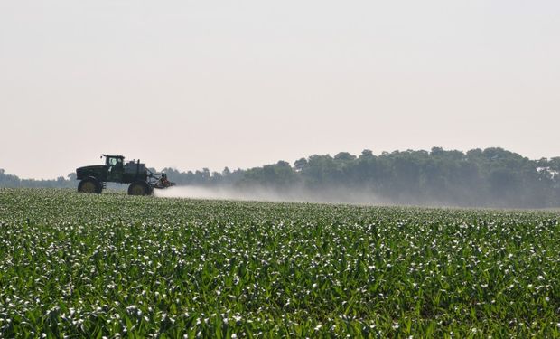 No debería haber glifosato en los sistemas agrícolas durante todo el año, porque es uno de los herbicidas con menor permanencia en el suelo.