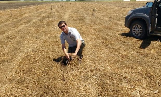 Impactos agronómicos y económicos de producir sin glifosato.