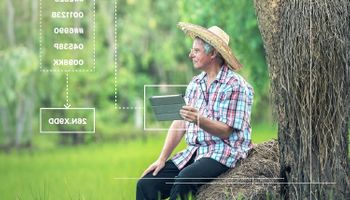 Iniciativa mobiliza gigantes do agro para dar “CEP digital” a cada talhão em todo o mundo