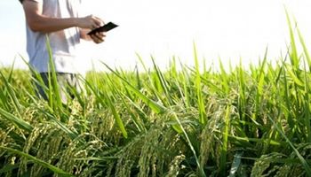 Agroalimentos: el fondo GLOCAL abrió su programa de inversión para empresas emergentes 