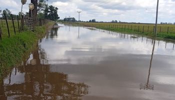 Riesgo de inundaciones: la zona que recibiría más de 150 milímetros en tres días y el detalle del pronóstico para el campo