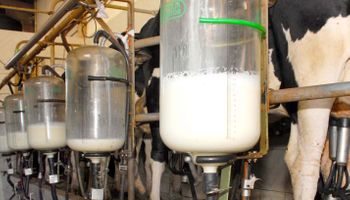 Depois do Paraná, Goiás proíbe a venda de leite líquido feito a partir de leite em pó importado