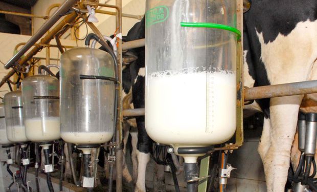 Depois do Paraná, Goiás proíbe a venda de leite líquido feito a partir de leite em pó importado