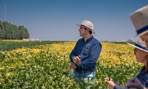 Golden Harvest levará mais avançadas cultivares de soja às principais feiras agro