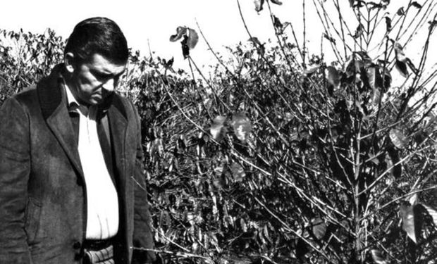 Evento climático que mudou a história do agro no Paraná faz 50 anos