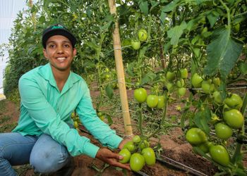Governo de SP amplia crédito rural em R$ 36 milhões para fortalecer produtores