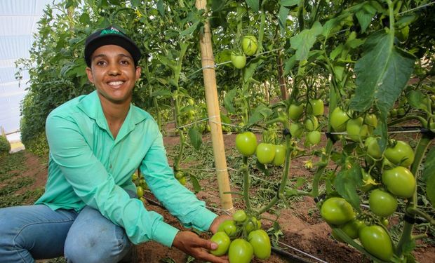 Governo de SP amplia crédito rural em R$ 36 milhões para fortalecer produtores