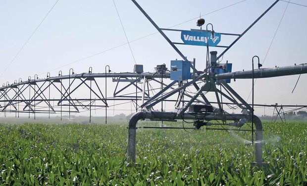 La lista de 89 productos que se podrán importar con menos arancel: hay desde neumáticos hasta equipos para riego agrícola