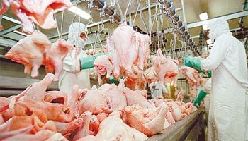 Piden baja en el IVA para aves y cerdos