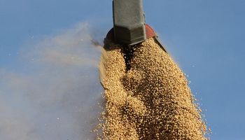 Los temores recesivos impactan en soja, trigo y maíz: cuánto se pagó en Rosario y qué pasó en el mercado de granos