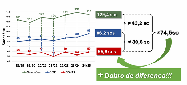 grafico-coluna