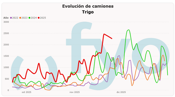 arribo de camiones al puerto trigo