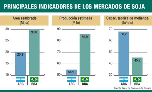 Localmente, capacidad de molienda es mayor. Nuestro vecino gana en área y producción