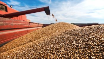 Exportadores descartan problemas con Brasil por el trigo y anticipan cambios en retenciones