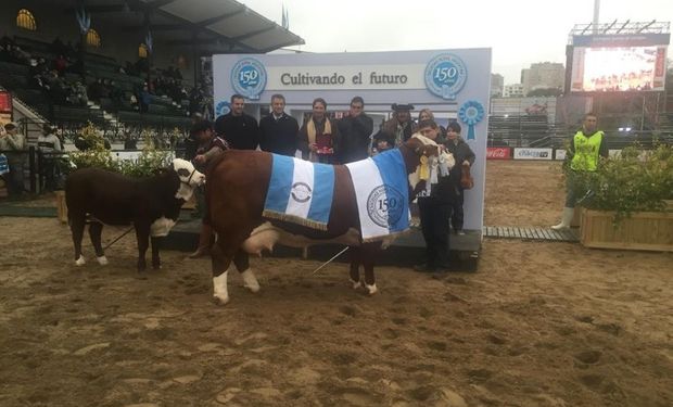 El Gran Campeón Hembra de Los Orígenes, de Agrodec. Foto: La Nación