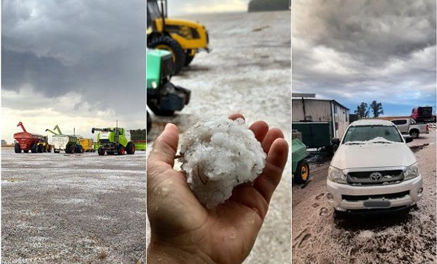 Cayó granizo en el campo: las imágenes de las tormentas que cubrieron de blanco el suelo