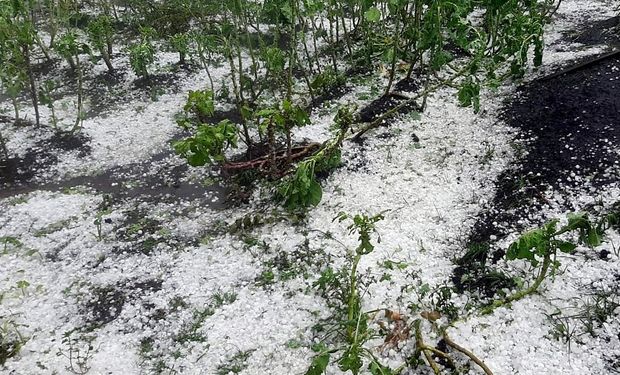 Semana começa com risco de granizo e tempestade no Centro-Oeste, Sudeste e Sul