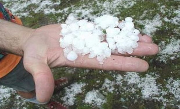 El ingeniero agrónomo Juan Cruz Giavelli corroboró que al menos fueron 90.000 las hectáreas afectadas dentro del área rural circundante.