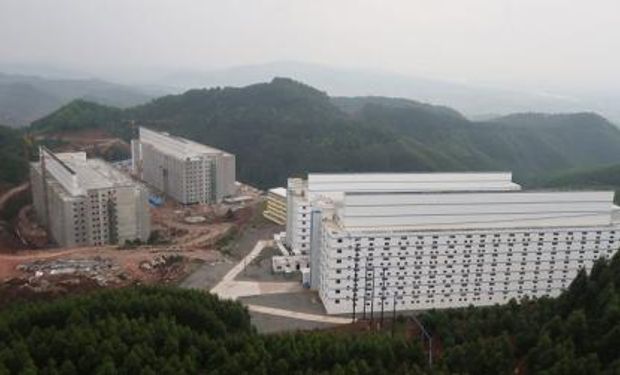 A chinesa Zhong Xin Kaiwei construiu a maior fazenda vertical de suínos do mundo, com 26 andares