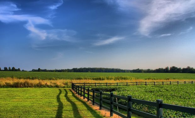 "Sudamérica es y será un gran protagonista en la producción y exportación mundial de alimentos"