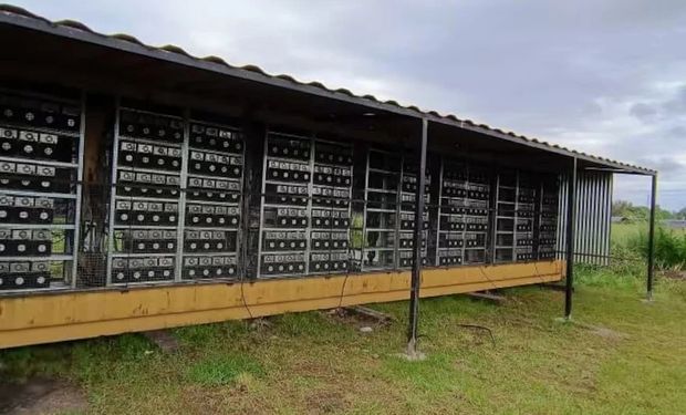 Simulaban ser un criadero de pollos pero había una granja ilegal de criptomonedas: el consumo de luz era equivalente al de un pequeño barrio residencial