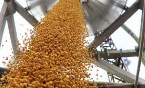 Soja, trigo y maíz: el precio de los granos vuelve nuevamente al terreno positivo