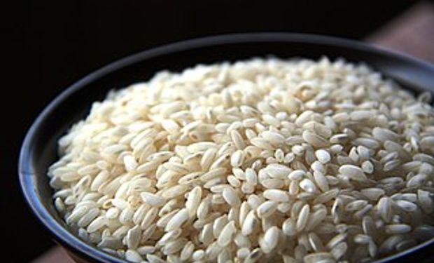 Produção de arroz brasileira concentra-se no Rio Grande do Sul (foto - jlastras)