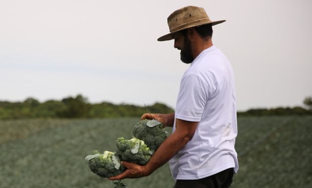 Grano Alimentos terá R$ 24,4 milhões do BNDES para recuperação após enchente do RS