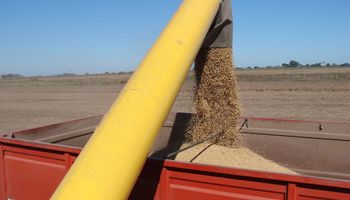 El agro brasileño profundiza su alianza estratégica con China